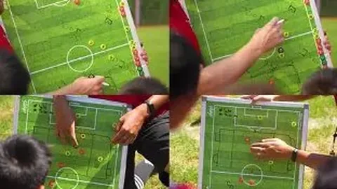 皇冠体育app下载